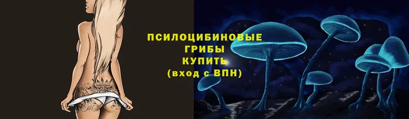 Галлюциногенные грибы мухоморы  KRAKEN   Вяземский 